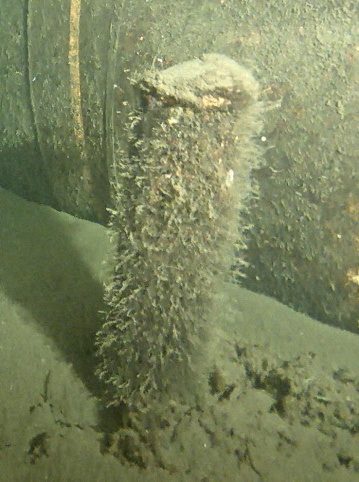 Un objet non identifié trouvé à proximité du seul gazoduc intact restant sous la mer Baltique, dans cette image non datée. Commandement de la défense danoise 