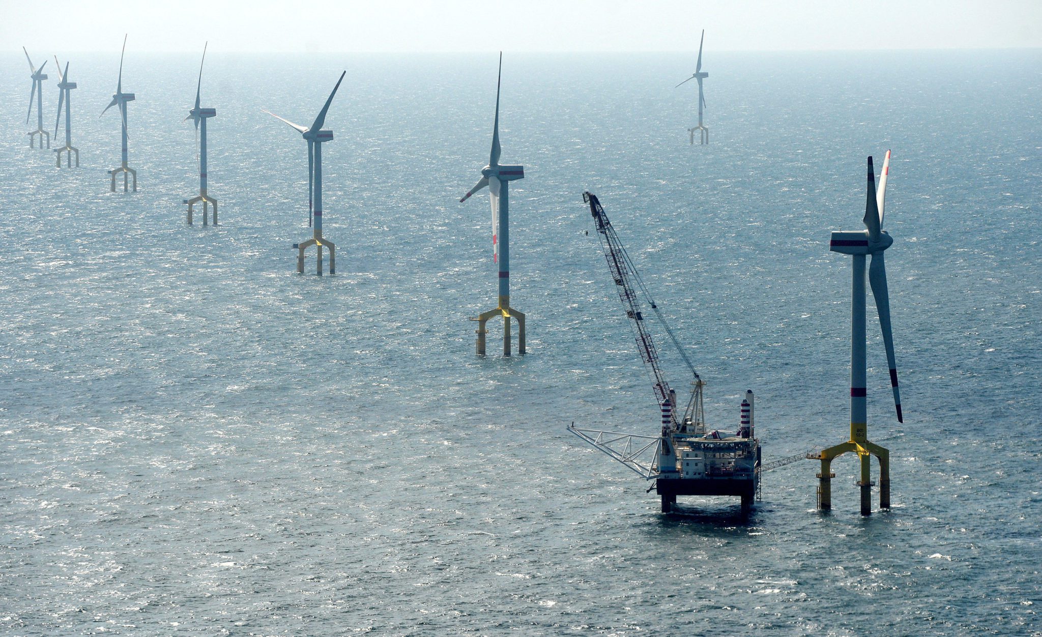Les éoliennes du parc éolien BARD Offshore 1 sont photographiées à 100 kilomètres au nord-ouest de l'île allemande de Borkum, le 26 août 2013